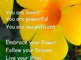 a better life, amazing, incredible, flowers, beauty, love, inspiration