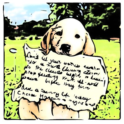 cute puppy, note, poetry