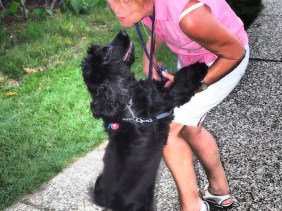 LOOK UP TO LOVE, beautiful, love, adore, wonderful