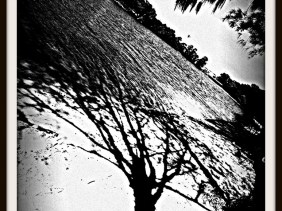 Poe, Creeping, Poetry, Amazing, Monochrome,