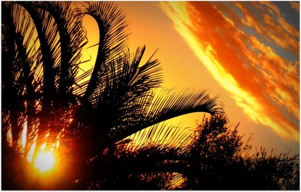 amazing photo, fantastic story, funny story, the best