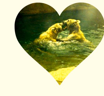 kissing, love, mating