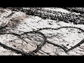 marriage proposal, love, wedding