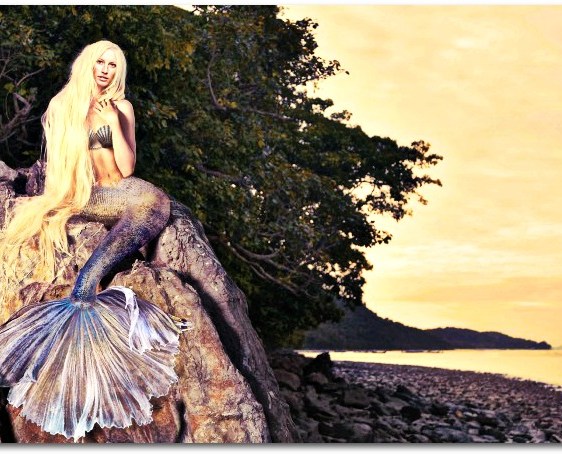 Haiku, dreams, imagination, freedom