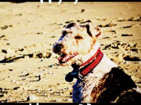 Happy, happiness, Pharrell Williams, Don't worry be happy