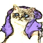 pretty cat, purple leather